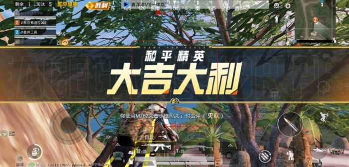 和平精英开挂平台 - 辅助整合商城官方发卡
